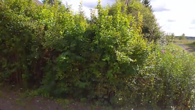 Skoda Octavia A7 FL 1.8MT - Мои первые впечатления (900км) смотреть онлайн