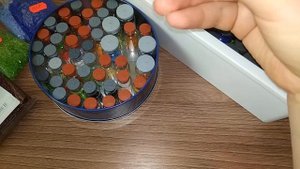 Организация бисера/Мой опыт хранения бисера.