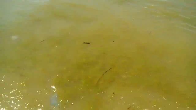 Море 2017 | Лазурное | Скадовск 18.07.17 смотреть онлайн