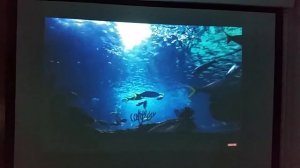 Proyector BENQ PB6100