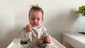 СОВСЕМ НЕ ХОЧЕТ КУШАТЬ ☹️ Самоприкорм 9 месяцев ? ПРИКОРМ КУСОЧКАМИ