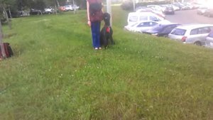 усадка и укладка из движения