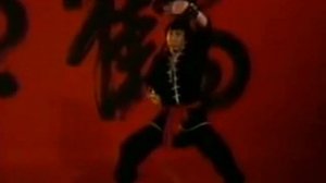 Кунг фу стиль тигра