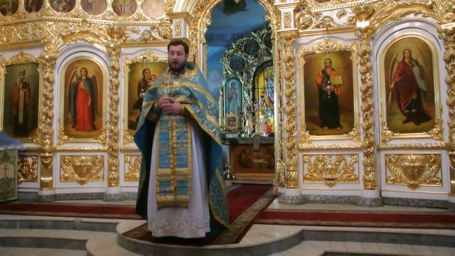 Проповедь протоиерея Василия Росохи в праздник Казанской иконе Божией Матери смотреть онлайн