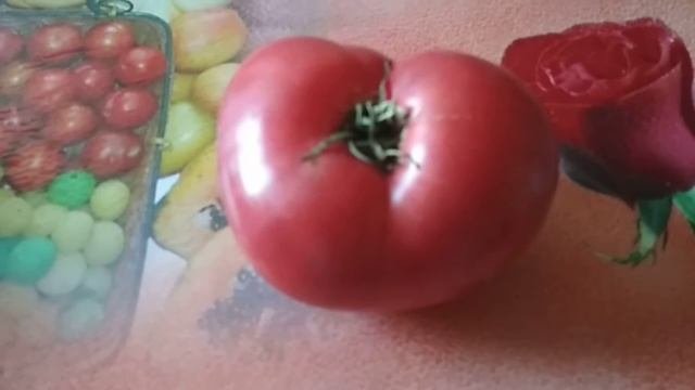 Томат Черногория вкусный и урожайный.