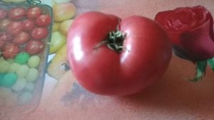 Томат Черногория вкусный и урожайный.