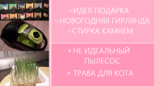 Идея новогоднего подарка, активная гирлянда, разбор пылесоса по косточкам и трава для кота