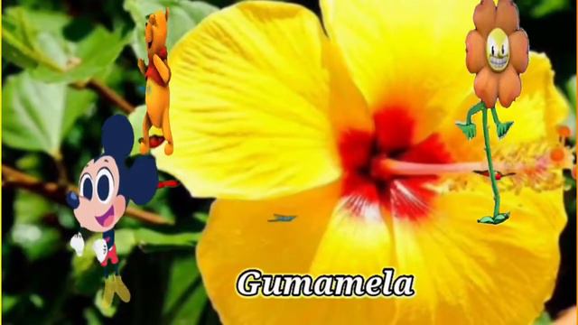 LATEST STYLE AND DESIGNS OF FLOWER BOUQUET | FLOWER NAMES | ODEZAFILES FLOWER BOUTIQUE | TIPS смотреть онлайн