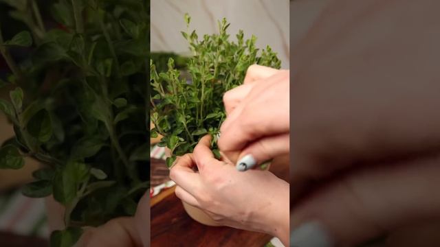 REȚETĂ SIMPLĂ DE BOLOGNEZE | KAUFLAND ROMÂNIA смотреть онлайн