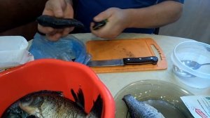 Карась (Карп) Мокрого Посола/Как Солить Рыбу в Банке/Рыба Засолка(Малосоленая)/SUB (0+)