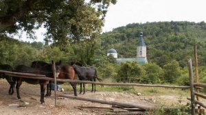 Агни Парфене. Греческие церковные песнопения