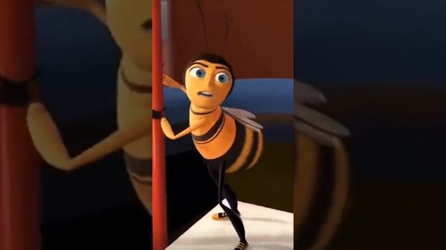 My dog stepped on a bee #foryou #shorts #bees BEE MOVIE