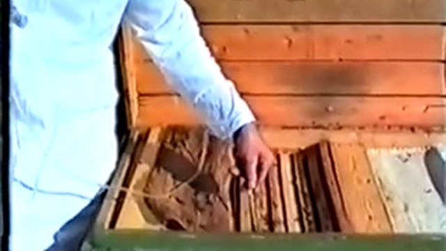 Варроатоз пчел МП Континент Полная копия 2 смотреть онлайн