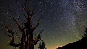 KAMOLIDDIN RAHMATOV-OSHIQMAN...КАМОЛИДДИН РАХМАТОВ-ОШИКМАН...