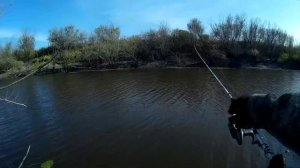 Отчёт с последней рыбалки