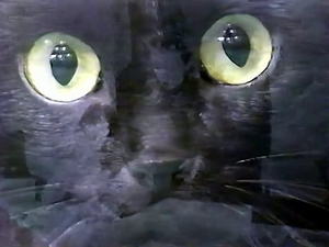 1997 год. Тюмень. "Черная кошка". Эфир 04-02-1997