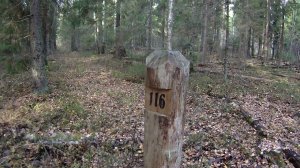 Квартальные столбы и ориентирование