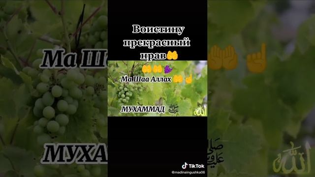 _Аллах_Велик☝ _пророкМухаммад❤️-- _ислам_религия_мира_добра(MP4).mp4