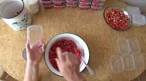 ПОСПЕЛА ЛЕСНАЯ ЗЕМЛЯНИКА. СБОР И ДВА ЛЕГКИХ СПОСОБА ПЕРЕРАБОТКИ НА ЗИМУ ЗЕМЛЯНИКИ НЕ ТЕРЯЯ ВИТАМИН