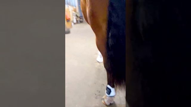 Все зависит от нас самих.