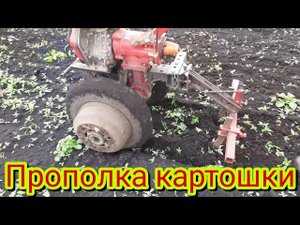 Как легко и просто прополоть картошку.
