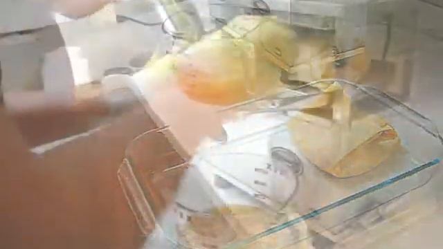 Mandarin orange juice made on a Whole Health Foundation juicer or a Norwalk juicer смотреть онлайн