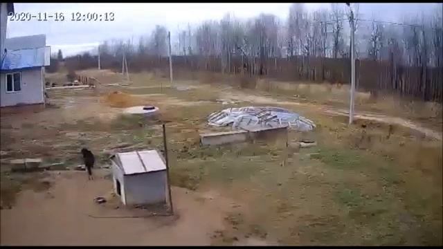 Видео камера наблюдения 2 часть.  & EDW &
