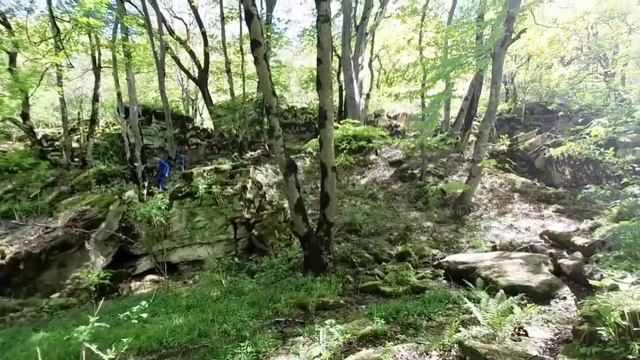 Экскурсия на гору Стрижамент. Экологическая тропа.