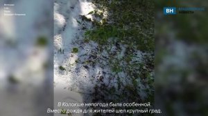 Во Владимирской области выпал летний снег