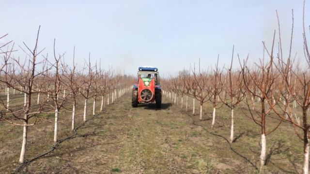 Обработка сада черешни. Питомник Маценко смотреть онлайн