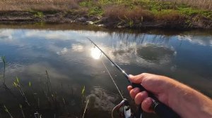 ЩУКА В МАЕ. Ловля щуки на спиннинг с берега. Часть 1.