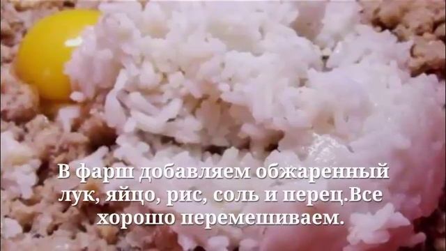 Рыбные тефтели из щуки. Как приготовить тефтели из щуки.