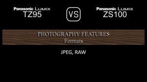 Panasonic Lumix TZ95 vs. Panasonic Lumix ZS100: A Comparison of Specifications