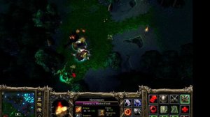 warcraft 3 nevermore на карте dota финал