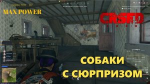 СОБАКИ С СЮРПРИЗОМ! #crsed #crsed_f_o_a_d #cuisineroyale  #crsedfoad #кузинрояль