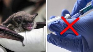 Люди, Которые Пережили Невероятное. Часть 5
