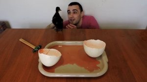 ГОМУНКУЛ ИЗ СТРАУСИНОГО ЯЙЦА[ЧТО ЭТО?]