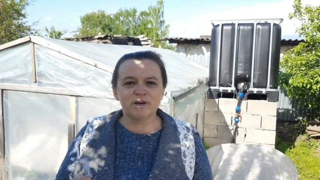 Опыление цветков томатов. Стимуляторы оплодотворения.