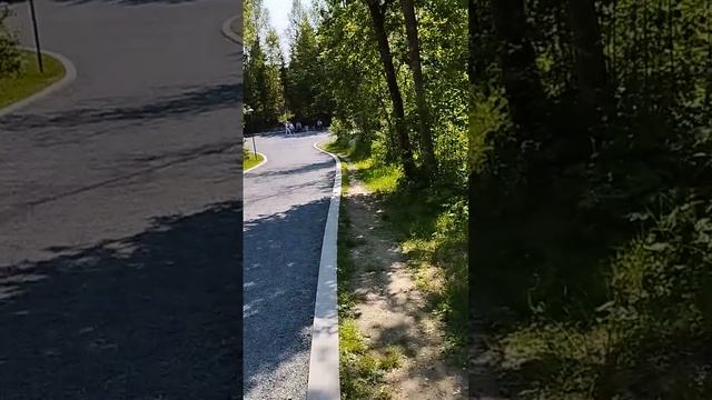 Жизнь прожить - пройти, как по струне бездну! #РЕРИХ #ЖИВАЯЭТИКА #АГНИЙОГА