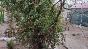 Что нового у херсонской области на сегодня