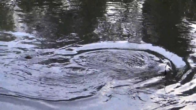 France Beausoleil October 2013 Part 2 смотреть онлайн