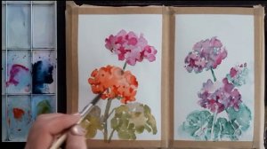 Рисуем c натуры цветок герани