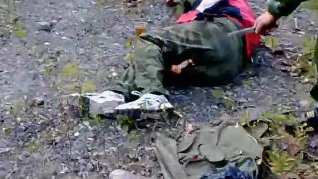 Подосиновики. смотреть онлайн