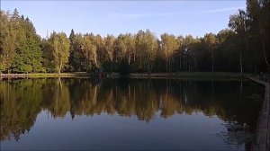 Утренний обзор с нижнего водоёма. Клёвое место, Лосиный остров.