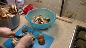 МАРИНУЮ ГРИБЫ / РЕЦЕПТ / ОЧЕНЬ МНОГО КРАСНОГОЛОВИКОВ, БЕЛЫХ, ОБАБКОВ (подберезовики и подосиновики)