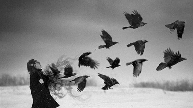 XCHO - Крылья вороны кавер, гитара смотреть онлайн