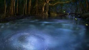 В Высоцкий Рай в шалаше