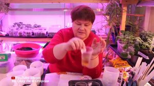 НЕ СЕЙТЕ ПЕРЕЦ ПОКА НЕ ПОСМОТРИТЕ ЭТО ВИДЕО! ПОСЕВ ПЕРЦА НА РАССАДУ