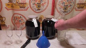 Какие дрожжи для виноделия лучше: дикие или магазинные?