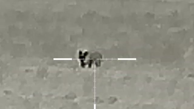 Охота на шакала с тепловизором смотреть онлайн